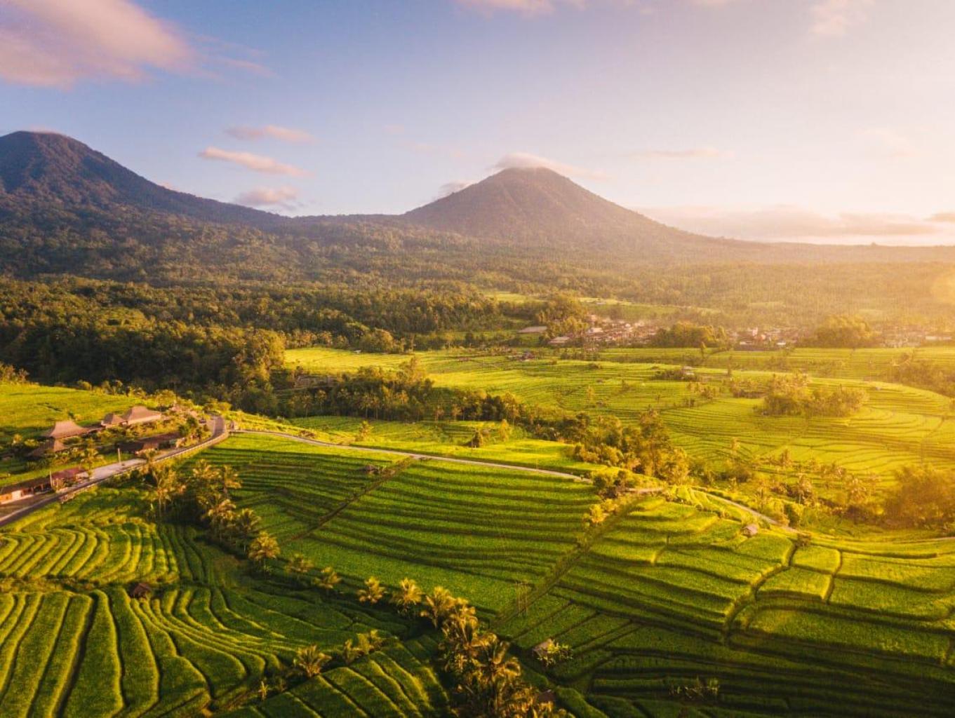 Alam Desa Cipinang Cempedak yang Asri